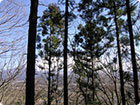 Mt. Fuji covered by snow in the opposite side